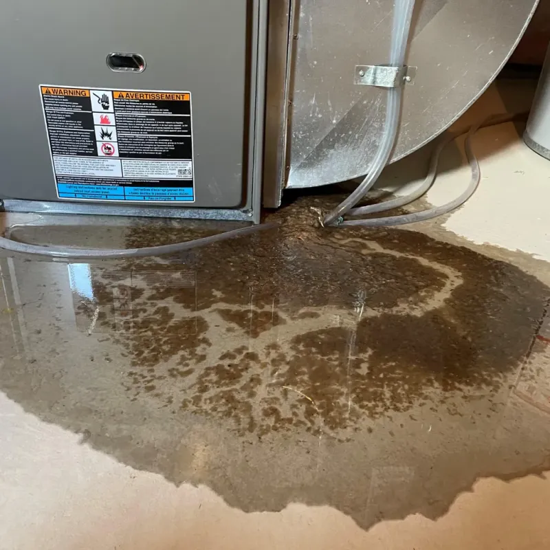 Appliance Leak Cleanup in Midland, PA